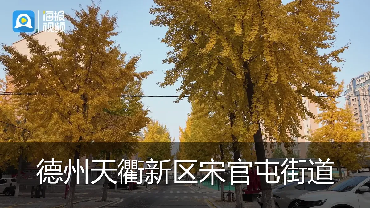 德州天衢新区宋官屯街道