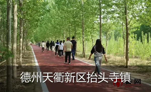 德州天衢新区抬头寺镇